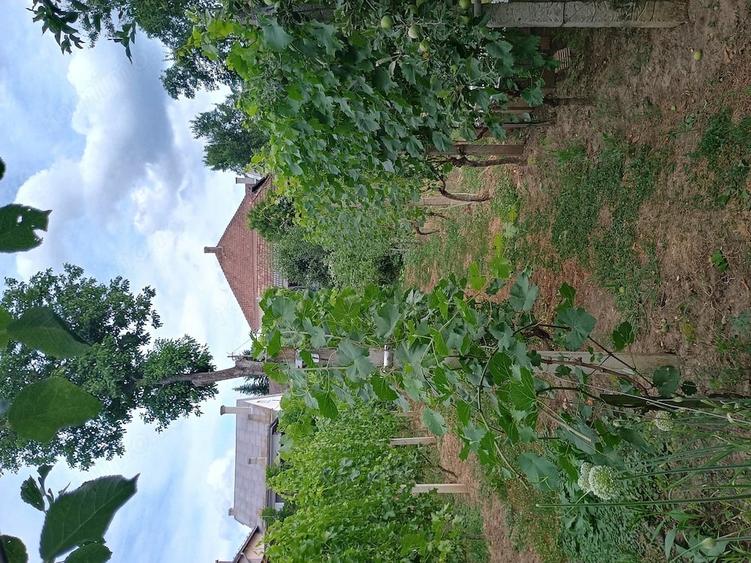 Casă cu 5 camere cu Teren 1579 Mp în Central