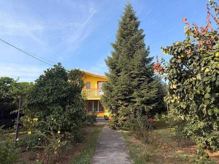 Casa cu teren 1.900 mp si deschidere 23 m | Dragomiresti Deal, Ilfov | Potential rezidential si investitional - 4
