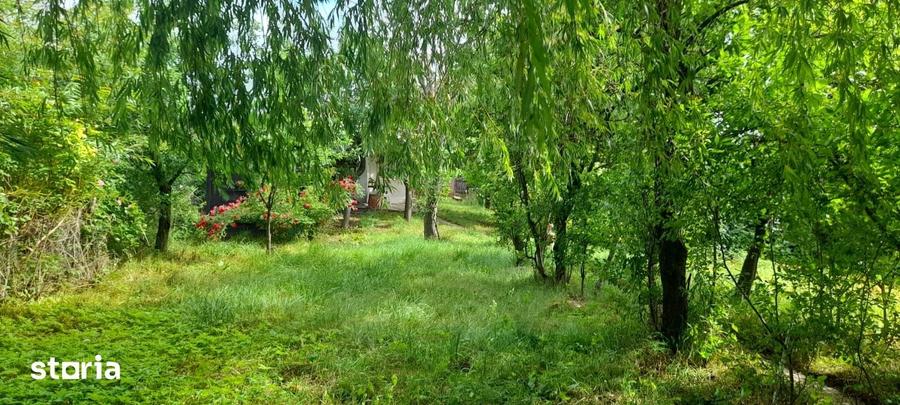 Casă cu 4 camere cu Teren 3200 Mp în Fitionești
