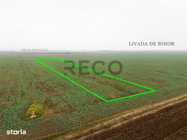 Teren de 5800 mp, în Nojorid