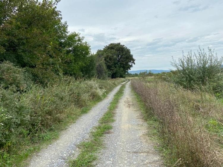 Teren agricol extravilan de 2950 mp, în Măcești