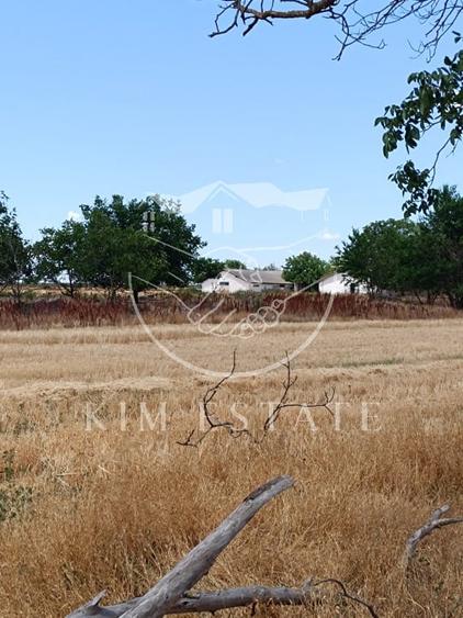 Ferma Pantelimon 10 hectare - 8