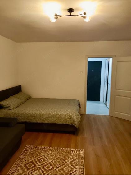 De inchiriat garsoniera | Brazda lui Novac - 6