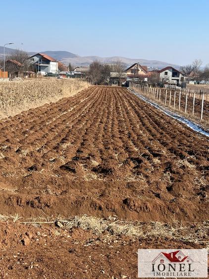 Casa de vanzare in Alba Iulia -2100 mp teren - 6
