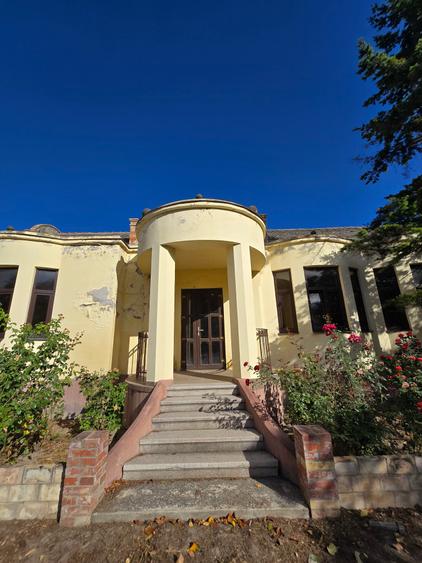 Cenad-Ultracentral-2 fronturi- Casa cu ahitectura deosebita - 9