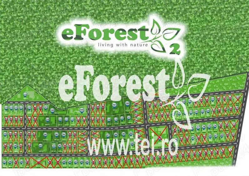 eForest teren rezidential in zona de padure, deschidere spre padure - 3