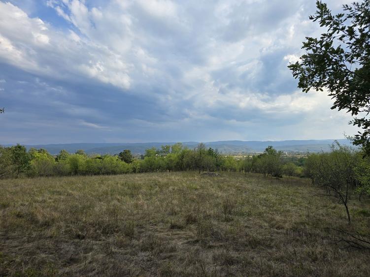 Vand teren in loc. Ulies, com. Gurasada, jud. Hunedoara - 5