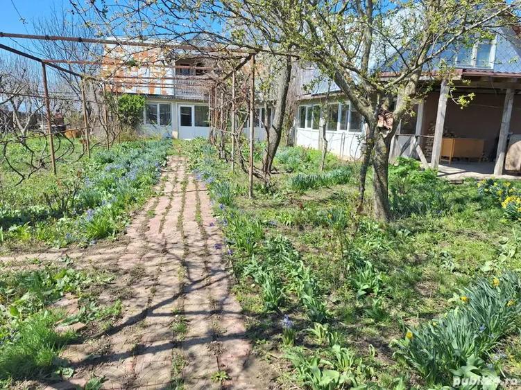 A 24 case 10000 mp teren Seciuieni Bacau - 6