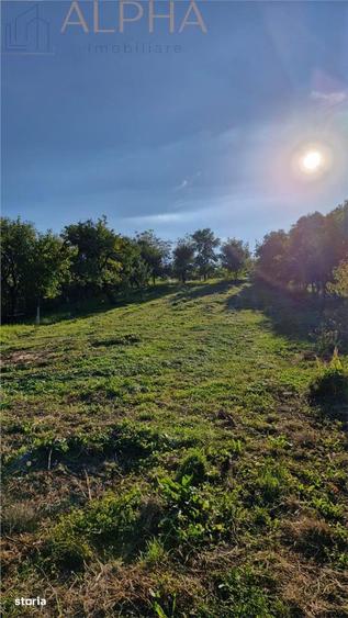 Casa traditionala + teren generos 2400 mp | 11 km de Bistrita - 7