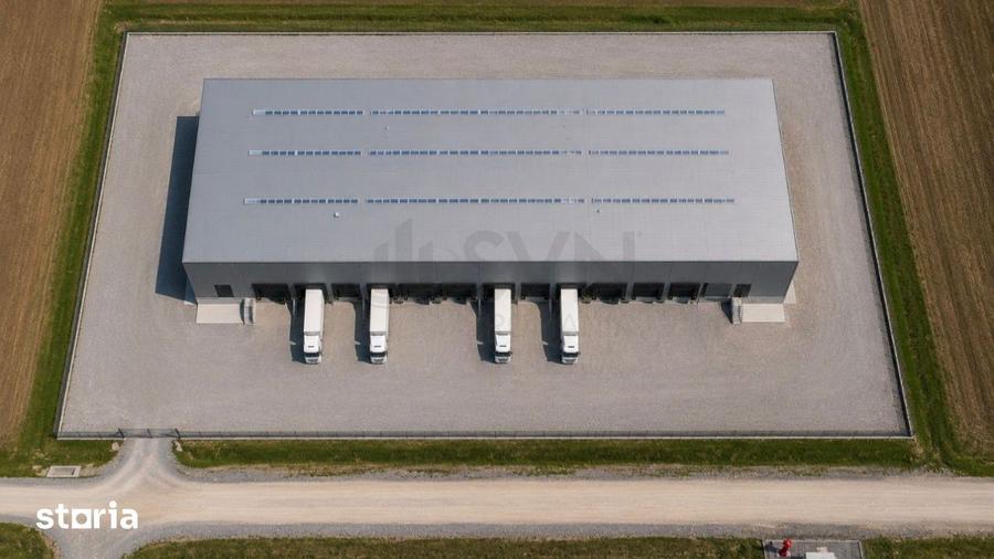 Hala Industriala Premium De Vanzare l Balotesti - 2