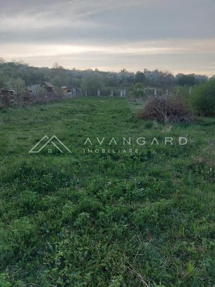 Teren intravilan 1800 mp – Șutu, comuna Ciurila - 2