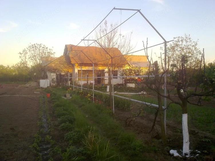 Teren intravilan - 1