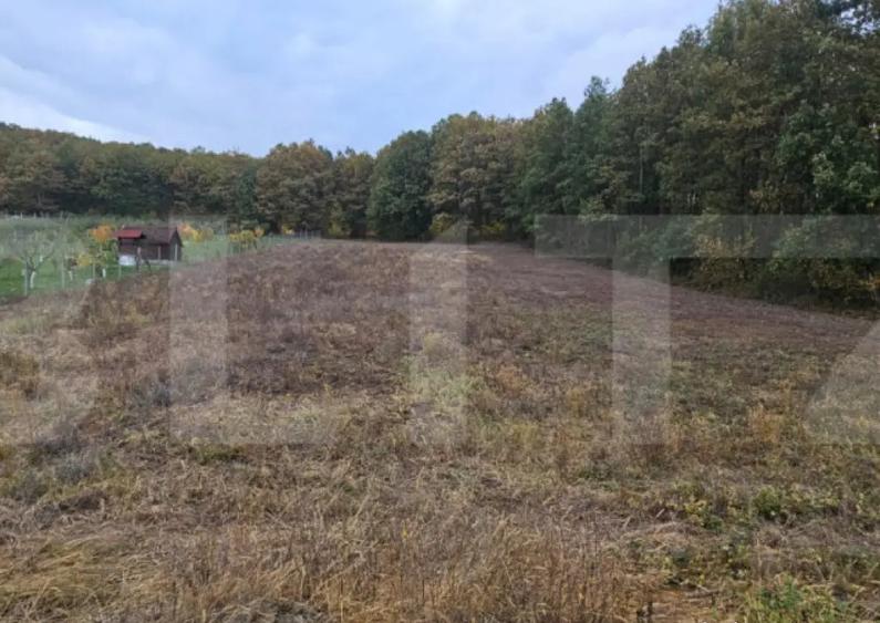 Teren intravilan parcelat - 2882 mp - Sat Bejan - 4