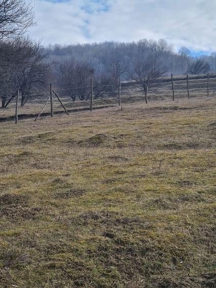 Teren Intravilan - 2