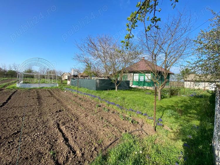 Vand casa Crunti, Ialomita - 6