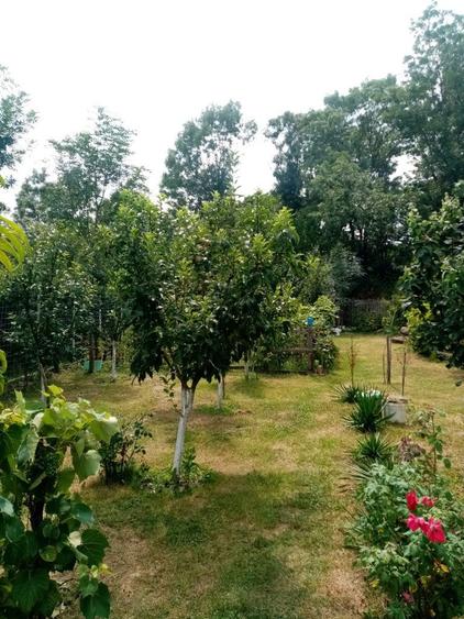 Casa 3 camere constructie 2017 - 8