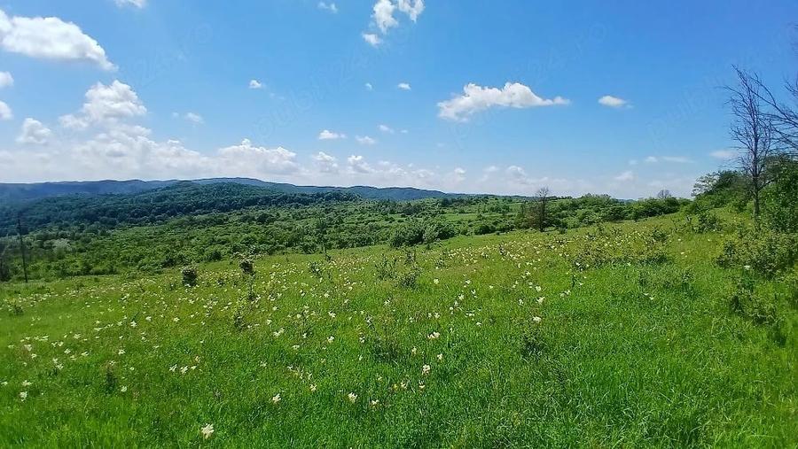 Teren de vanzare valea Ia?ului Mu?cel - 5