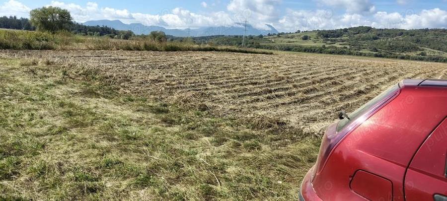 Teren extravilan Vulcan BV - 2