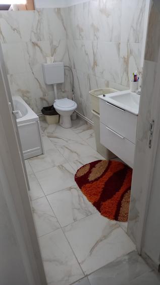 Vanzare proprietate- casa si teren Gheboieni Dambovita - 4