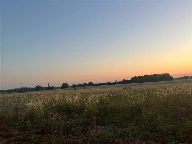 RECO Teren intravilan pentru casa Osorhei cu PUZ - 5