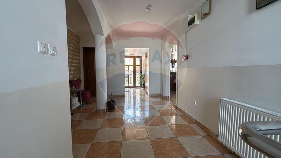 De Vanzare  Pensiunea Laura - 3 Margarete, Sanmartin, Baile Felix - 19