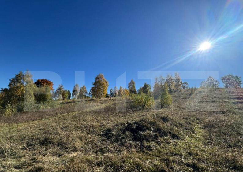 Teren extravilan 9.575 mp - 1