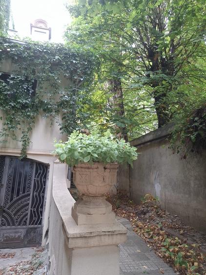 Studio cu garaj și boxă ultracentral - 9