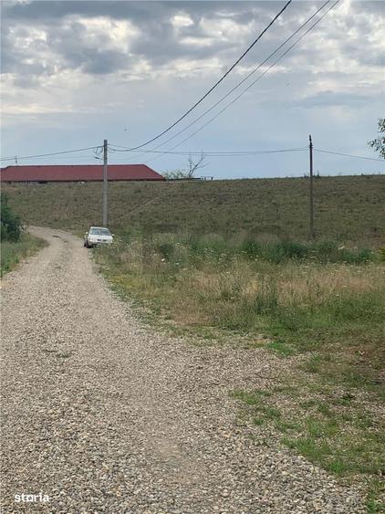 Teren intravilan in Paleu - 1