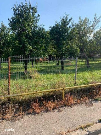 Vant teren Curtea de Arges - 4