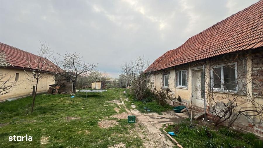 Teren intravilan generos de vanzare in Recas - 1