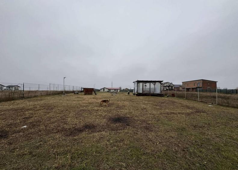 Teren 3.971 mp intravilan, deschidere 25 ml stradal acces lac Berceni - 11