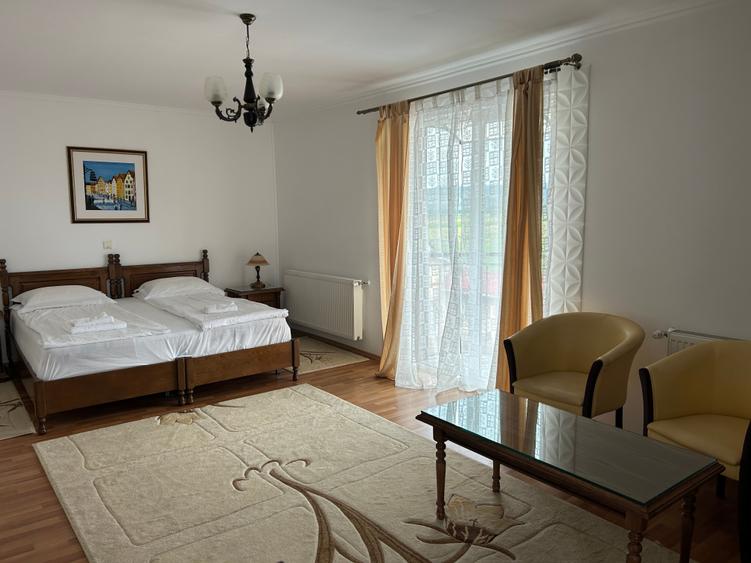 Vand Hotel cu restaurant  si piscina - 3