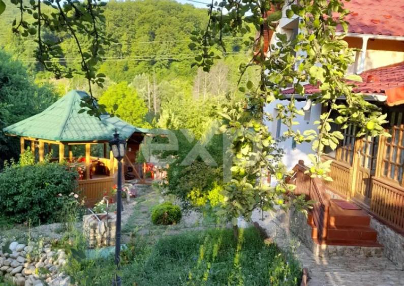 Casa la ?ara complet mobilata, 5.500 mp teren Topli? - 9