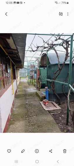 Casa batraneasca de vanzare - 15