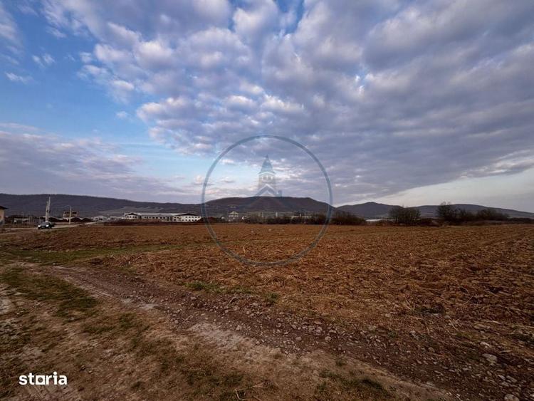 Teren extravilan de vanzare | ?ieu-Magherus | Ideal pentru cabana / r - 2