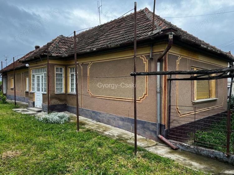Casa sanatoasa cu teren 3000 mp - Sisterea - IMOBIHOR Casa sanatoasa cu teren 3000 mp - Sisterea - IMOBIHOR