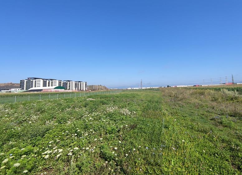 Teren intravilan cu potențial excelent în Triaj, Narciselor, pentru dezvoltatori - 3