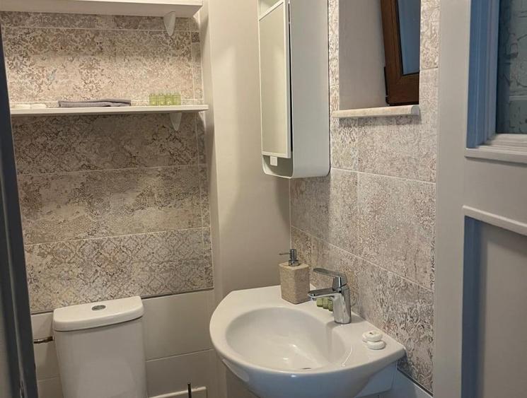 Duplex 6 camere in vila Kiseleff - 7