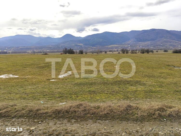 Teren intravilan 10000 mp cu acces din DN 1 - COMISION 0 - 4