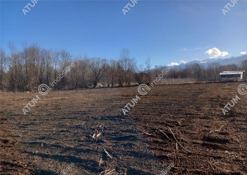 Teren intravilan de 1900 mp in Avrig zona Valea Avrigului - 5