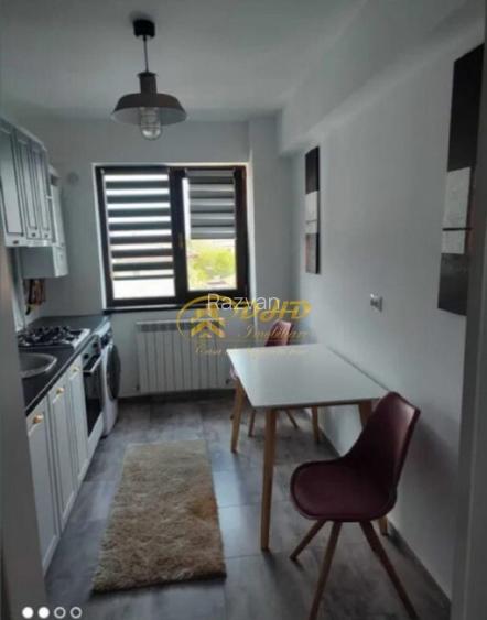 Artament 1 camere Pacurari