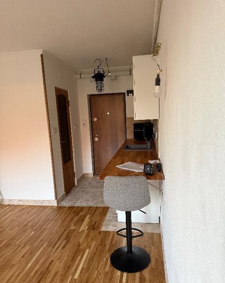 Studio la poalele Cetatii Devei - 8