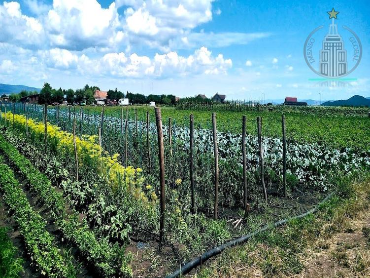 Investitie potential deosebit - Domeniu pe 20.400 mp teren intravilan, Brasov - 6