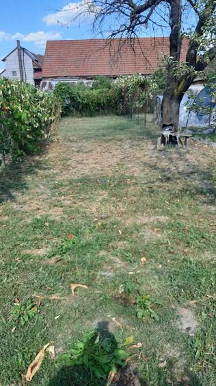 De vanzare casa, curte si gradina in ORASTIE - 5