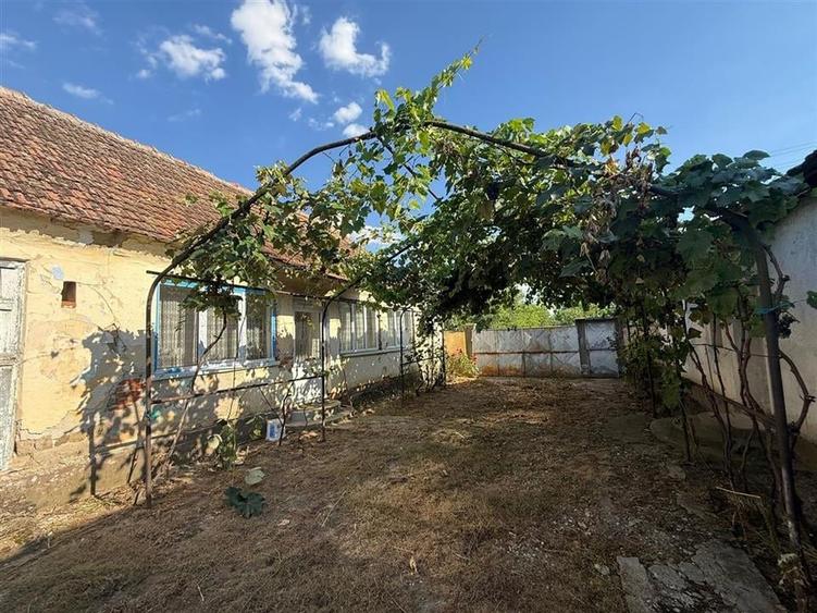 CASA CU TEREN 1500 MP | CHERESIG - 6