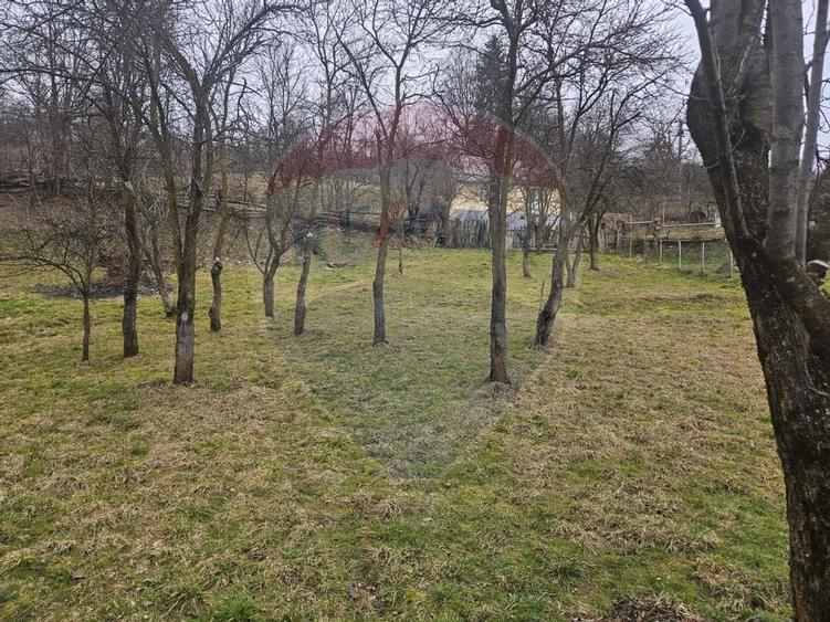 Casă  cu 5 camere de vânzare, Vișeu de Sus - 10