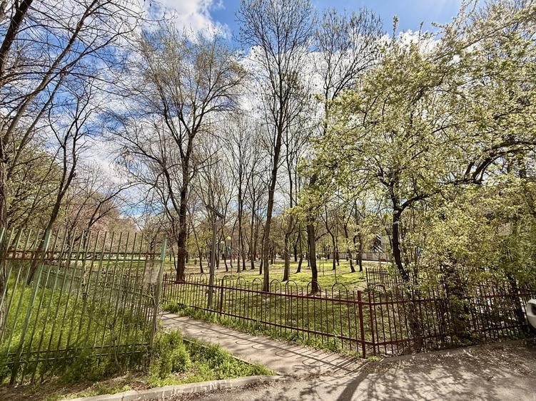 Campia Libertatii, sect 3, parcul Gheorghe Petrascu - 1