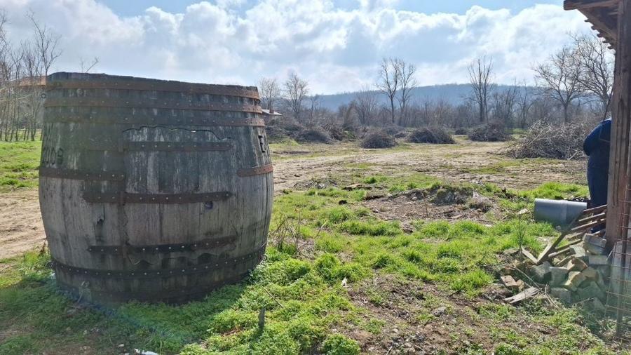 Teren intravilan in Batoti, Mehedinti, 5600 mp - 5