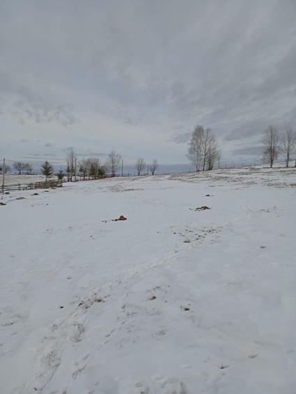 Vand teren intravilan - 8