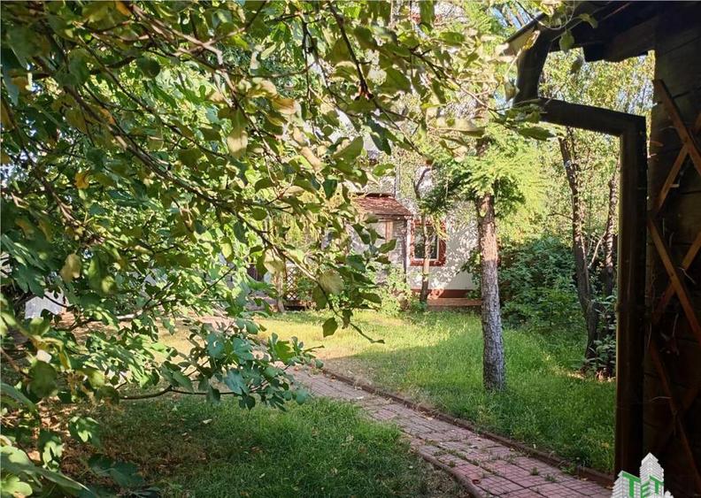 Vila deosebita, Brancoveanu, Luica, curte generoasa. Merita - 4